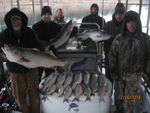 Nice Striped Bass